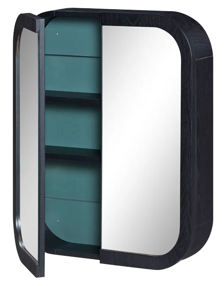 Beautiful Mirrored Medicine Cabinet