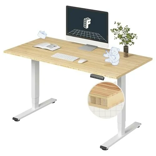 FlexiSpot E6 55x28" Bamboo Dual Motor Standing Desk