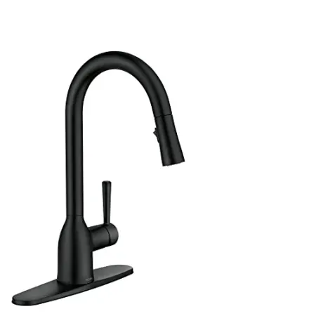 Moen Adler One-Handle High Arc Kitchen Sink Faucet