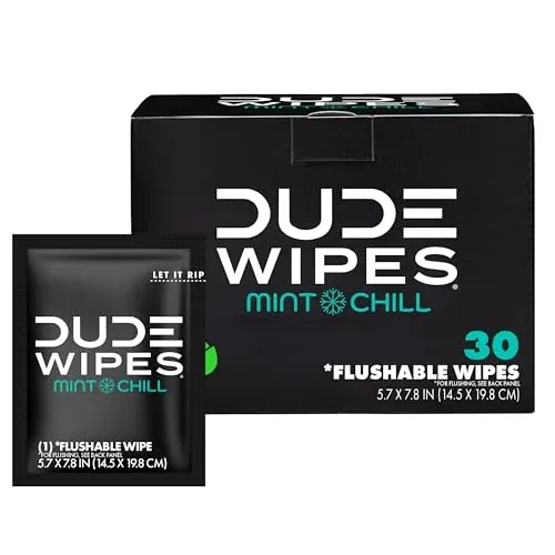 DUDE Wipes Mint Chill Flushable Travel Wipes 30-Count