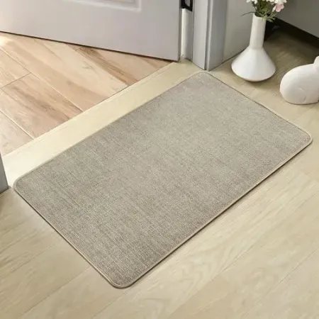 HiChiclife 1'5" × 2'6" Ultra Thin Low Profile Indoor Door Mat