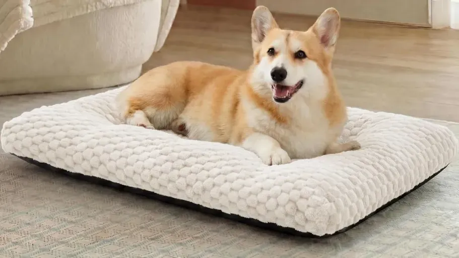Bedsure Bubble Fleece Dog Crate Bed