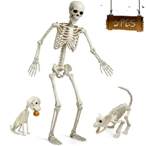 5.4FT Life Size Skeleton with Cat & Dog Halloween Decor