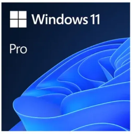 Microsoft Windows 11 Pro Lifetime License Digital Delivery
