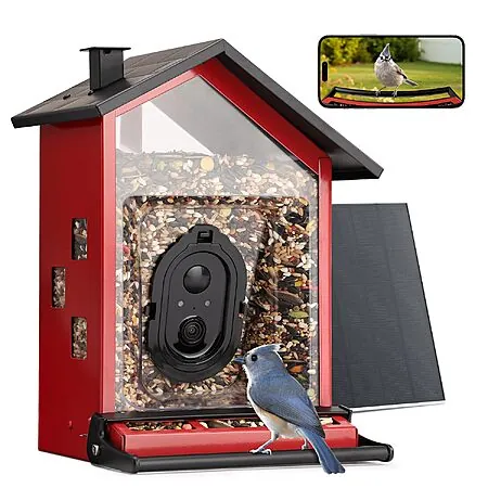 3.2L TT Nature Solar-Powered Metal Smart Bird Feeder w/ Camera