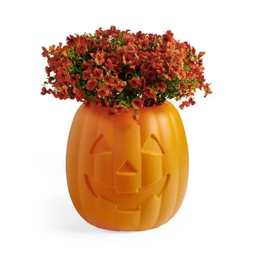 Step2 Reversible Pumpkin Planter