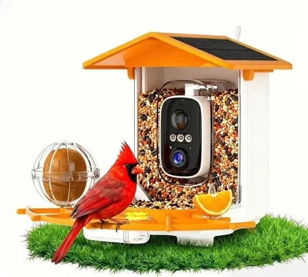 Kaixincz Bird Feeder with Camera