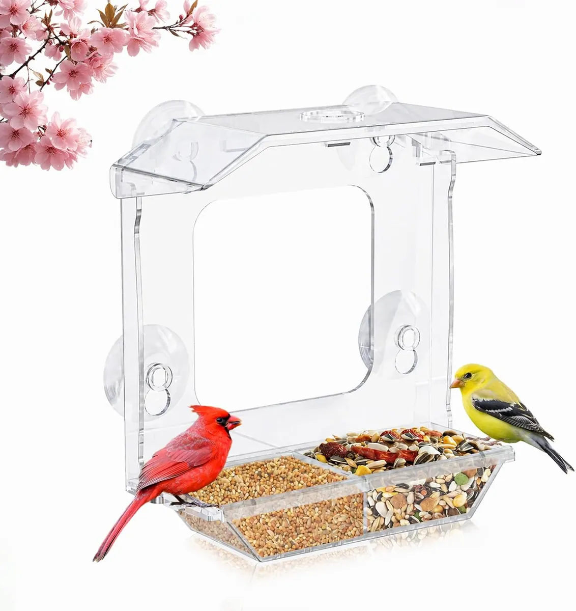 JICYOUP Window Bird Feeder