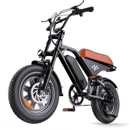 Rideplux 3,000W Retro Fat Tire Electric Bike