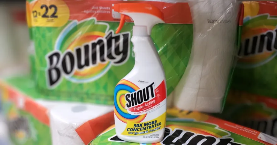 Shout Triple Acting Stain Remover Spray