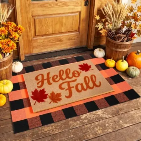 2-Piece Fashinex Layered Coir Front Doormat Set