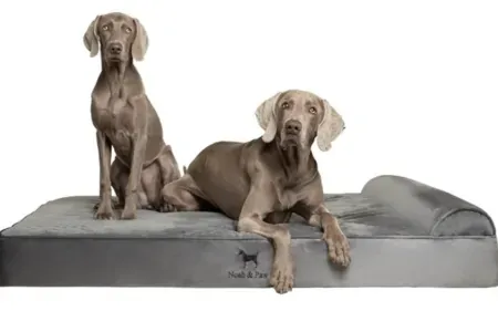 NOAH & PAW XXL Orthopedic Cooling Gel Memory Foam Dog Bed