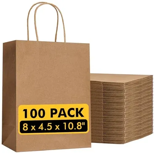 Brown Kraft Paper Bags 100-Count