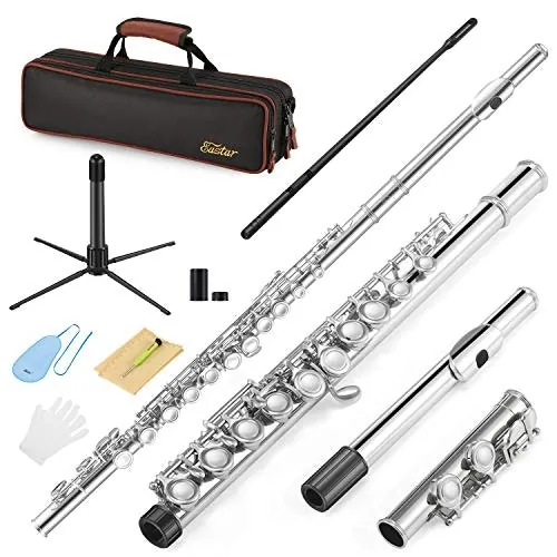 Eastar Closed Hole C Flute 16-Key Beginner Flute Set