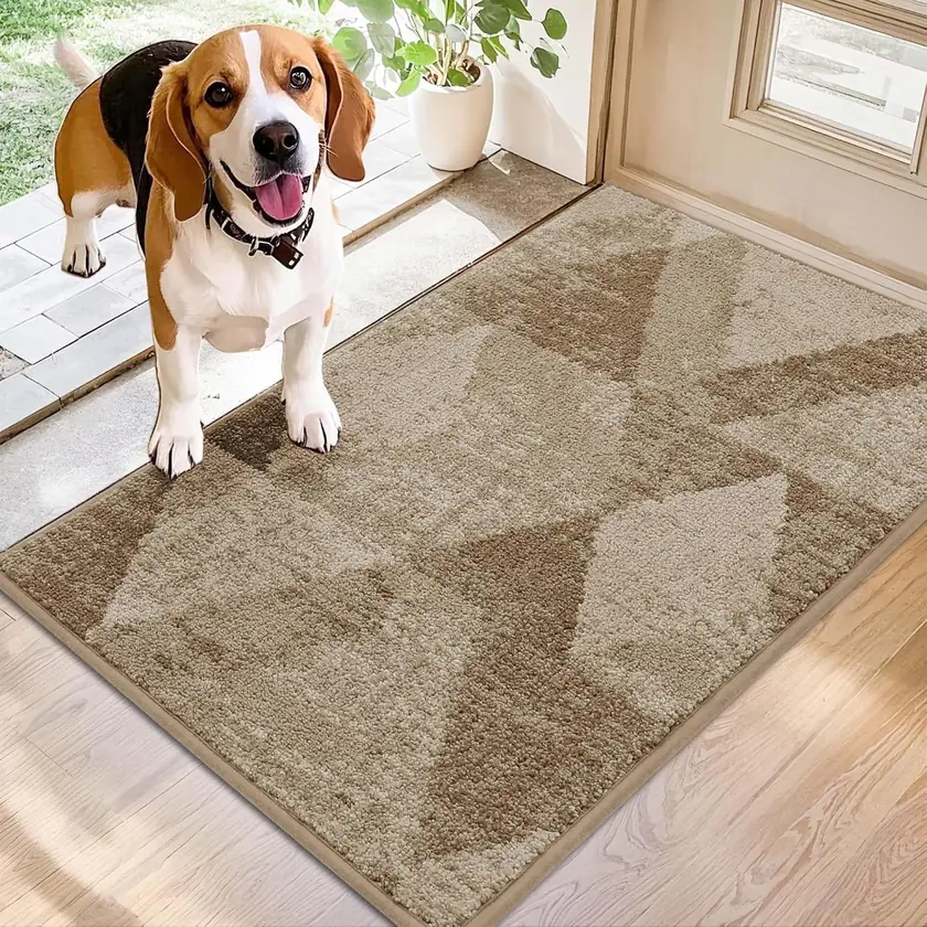 Cosy Homeer Entryway Rugs Doormat