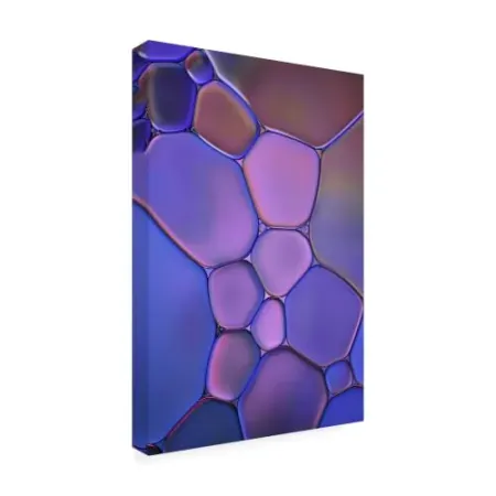 Trademark Fine Art 19" x 12" 'Purple Stained Glass' Canvas Art