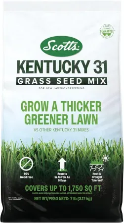 20lb Scotts Kentucky 31 Grass Seed Mix