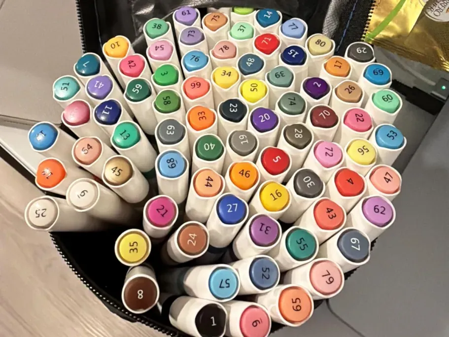 Dual Tip Acrylic Paint Markers 80-Count