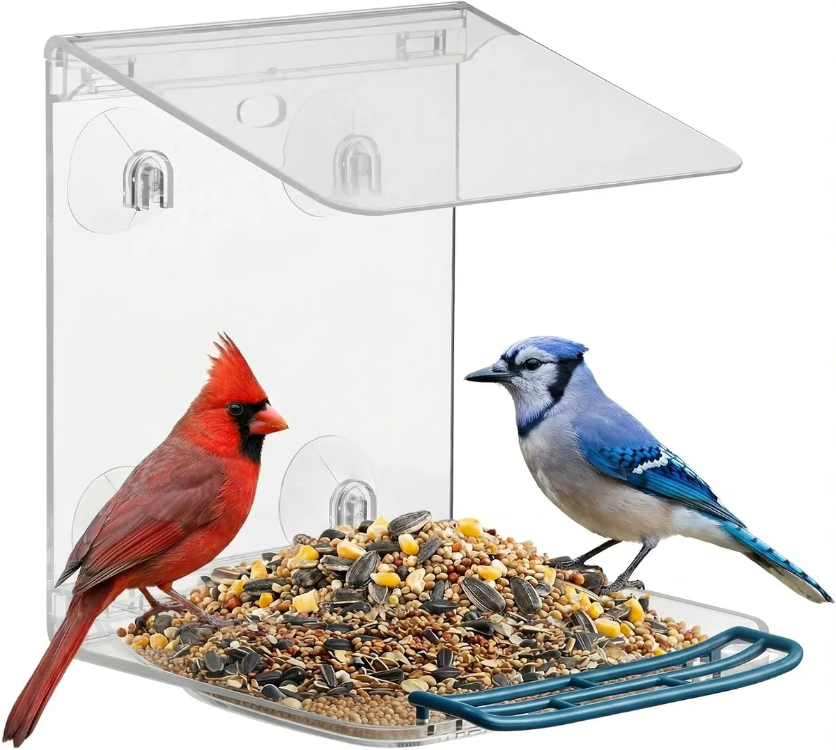 vakiav Window Bird Feeder