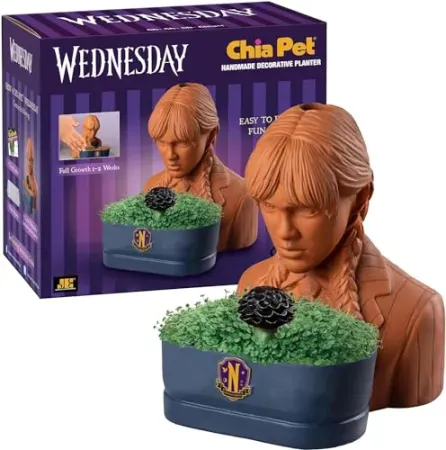 Chia Pet Wednesday with Seed Pack