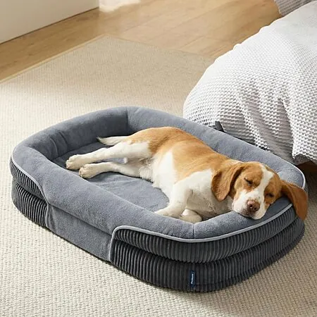 Prime: ArcticMax 360° Bolster Orthopedic Dog Bed w/ Washable Cover (various)