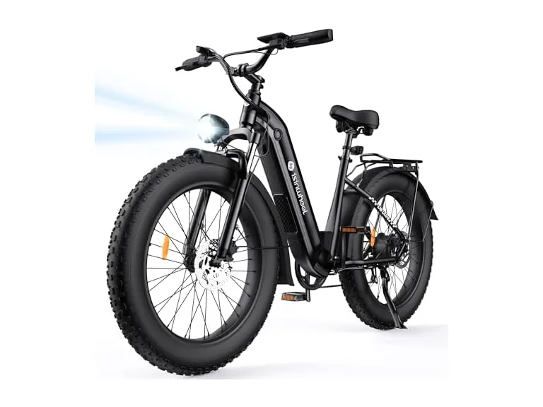 isinwheel Electric Bike 48V Battery 1500W