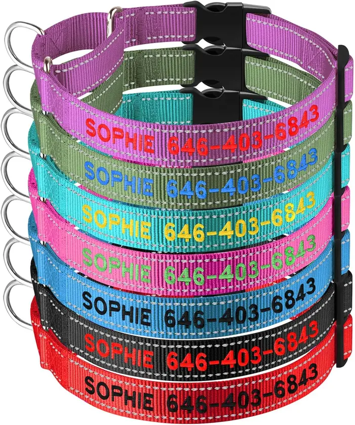 Suncliff Embroidered Lock Buckle Martingale Dog Collar