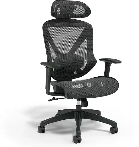 Staples Dexley Ergonomic Mesh Swivel Task Chair