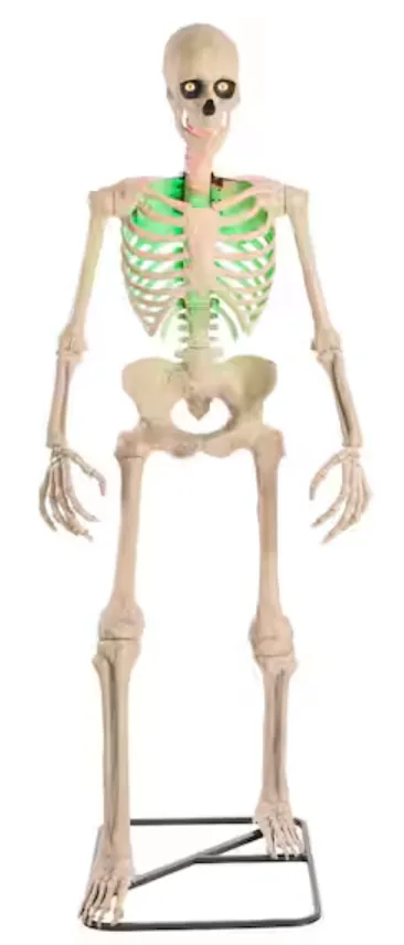 Home Accents Holiday 6.5-ft. Grave & Bones Animated Ultra Skelly w/ LCD LifeEyes