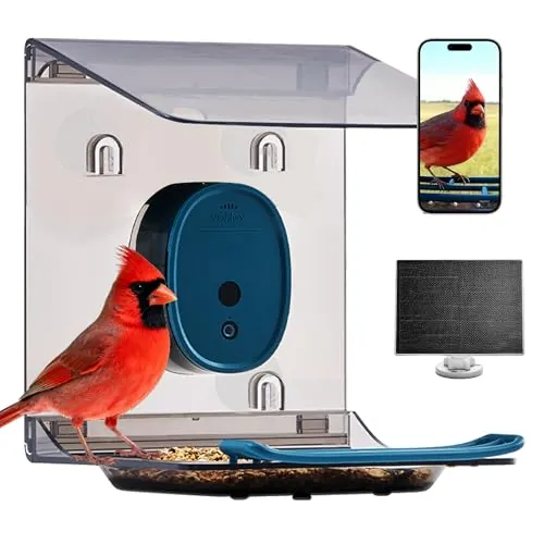 Smart Bird Feeder with Camera 2K UHD Video Solar Powered