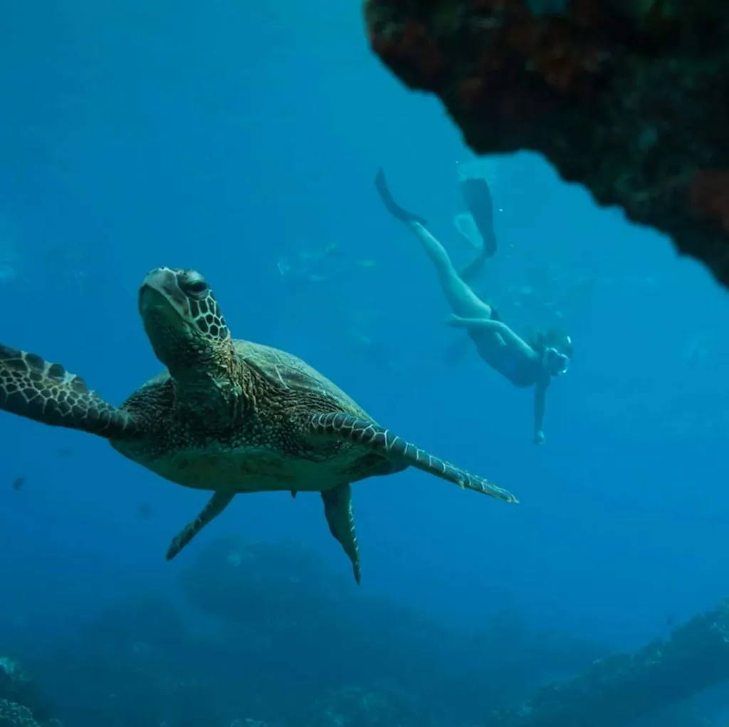 UnCruise 7-Night Hawaiian Seascapes Cruise for From $17,400 for 2