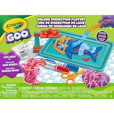 Crayola Goo Dissection Playset