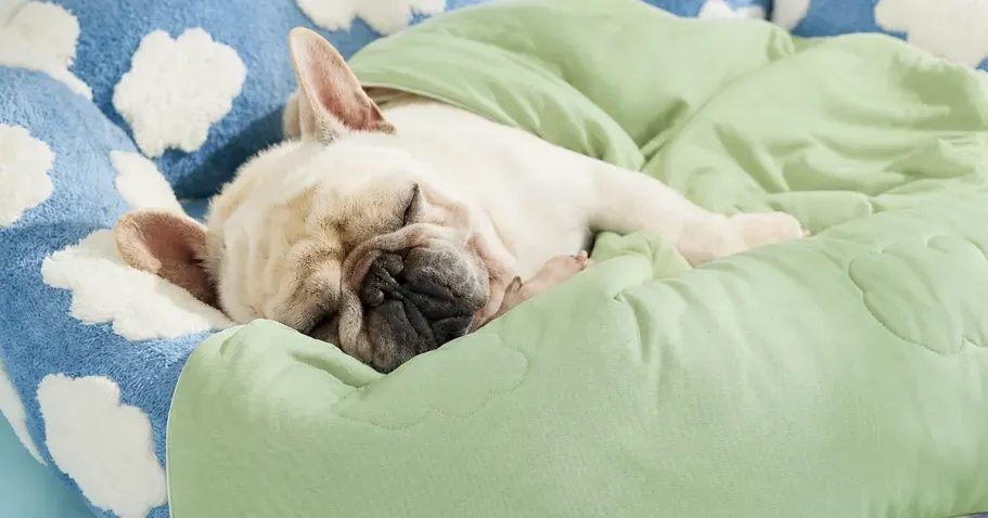 Dog Cooling Blanket