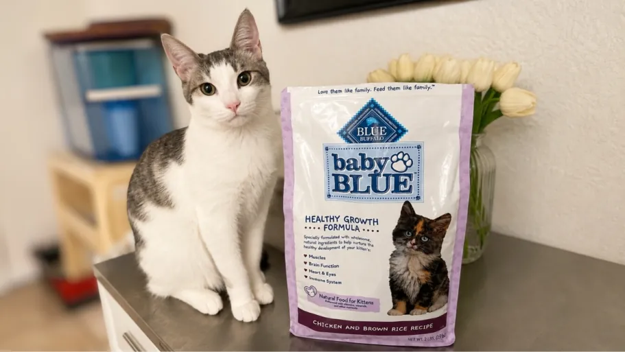 Blue Buffalo Baby Blue Natural Dry Kitten Food – Chicken & Brown Rice 2lb