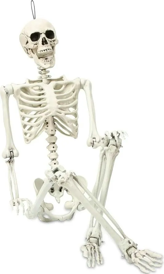 5.4ft Posable Halloween Skeleton Decoration