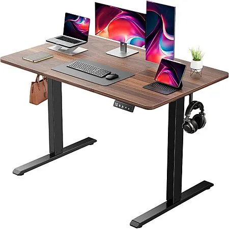 48" x 24" NEXT BEAUTY Electric Standing Desk w/ Memory Presets (Dark Walnut)