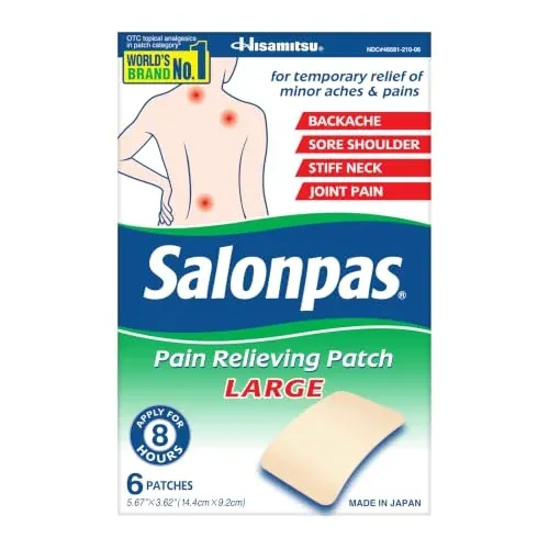 Salonpas Pain Relieving Patch 6 Count