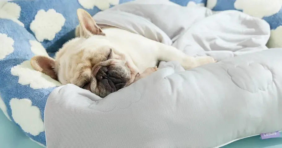 Dog Cooling Blanket