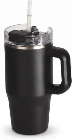 20oz CYPHERTAN Vacuum Insulated Tumbler with Handle & Dual Lid