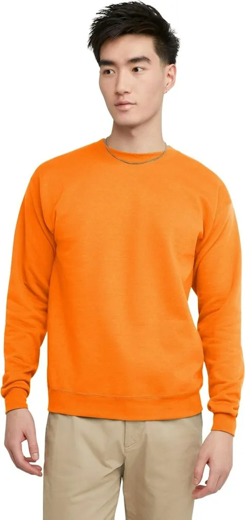 Hanes Men's EcoSmart Fleece Sweatshirt