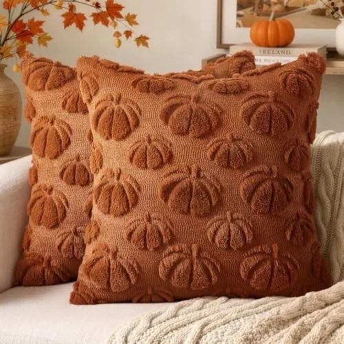 Fall Pumpkin Throw Pillow Covers Rust 18x18 Set of 2