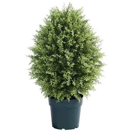 National Tree Company 32"H Cypress Artificial Mini Tree w/ Green Pot Base