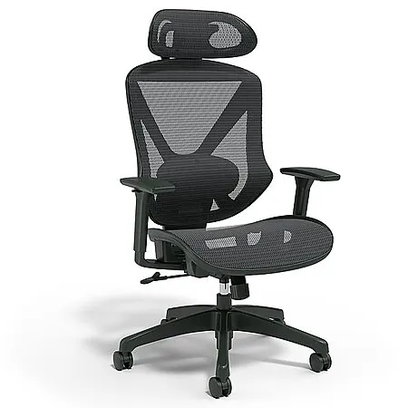Staples Dexley Ergonomic Mesh Swivel Task Chair