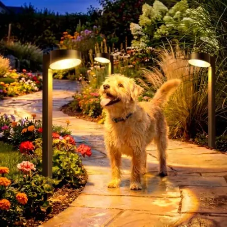 12-Pack VOLISUN 3CCT Solar Pathway Lights Outdoor w/ Optical Lens