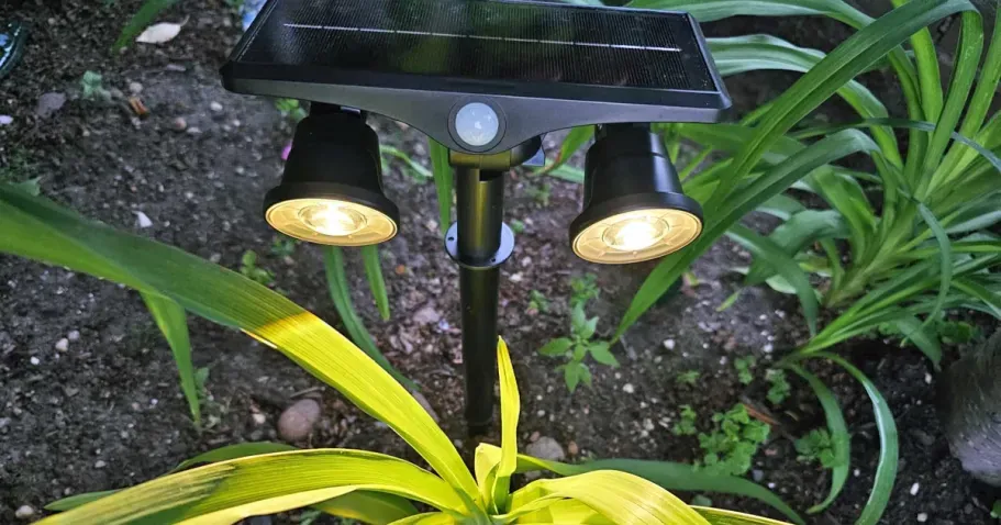 Dual-Head Solar Outdoor Lights 2-Pack