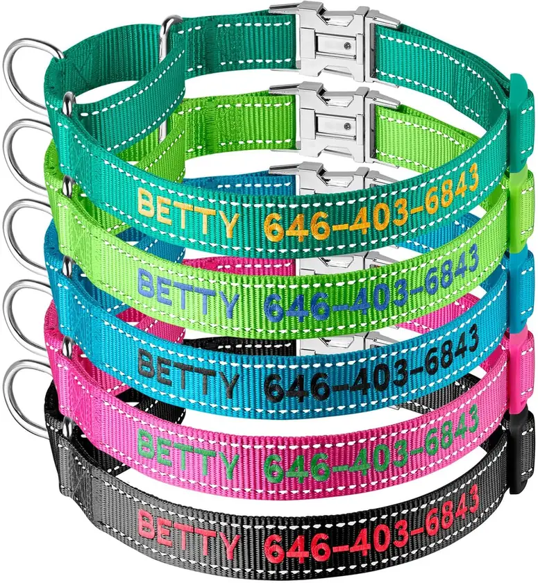 Suncliff Embroidered Metal Buckle Martingale Dog Collar