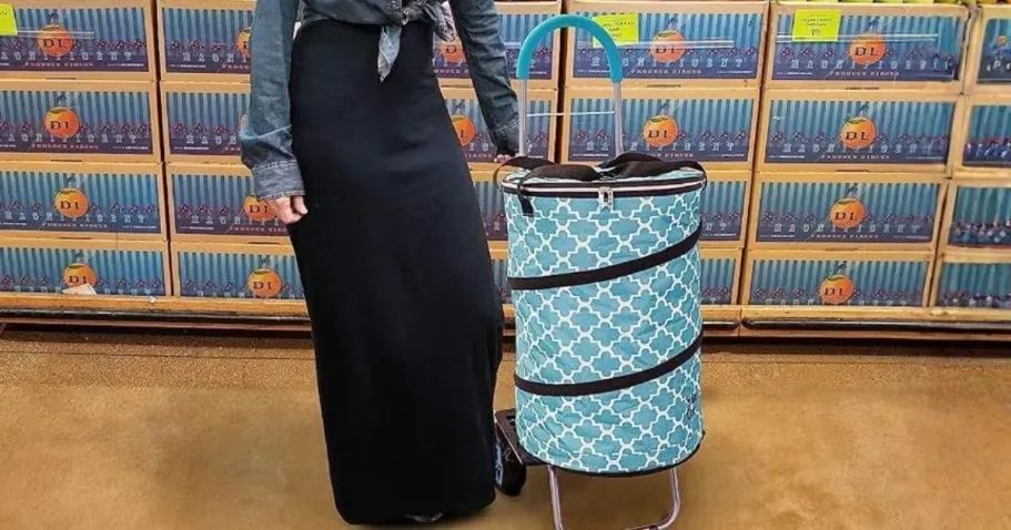 Trolley Dolly Folding Cooler Only $29.99 Shipped (Reg. $89) | Carries Up to 110 Pounds!