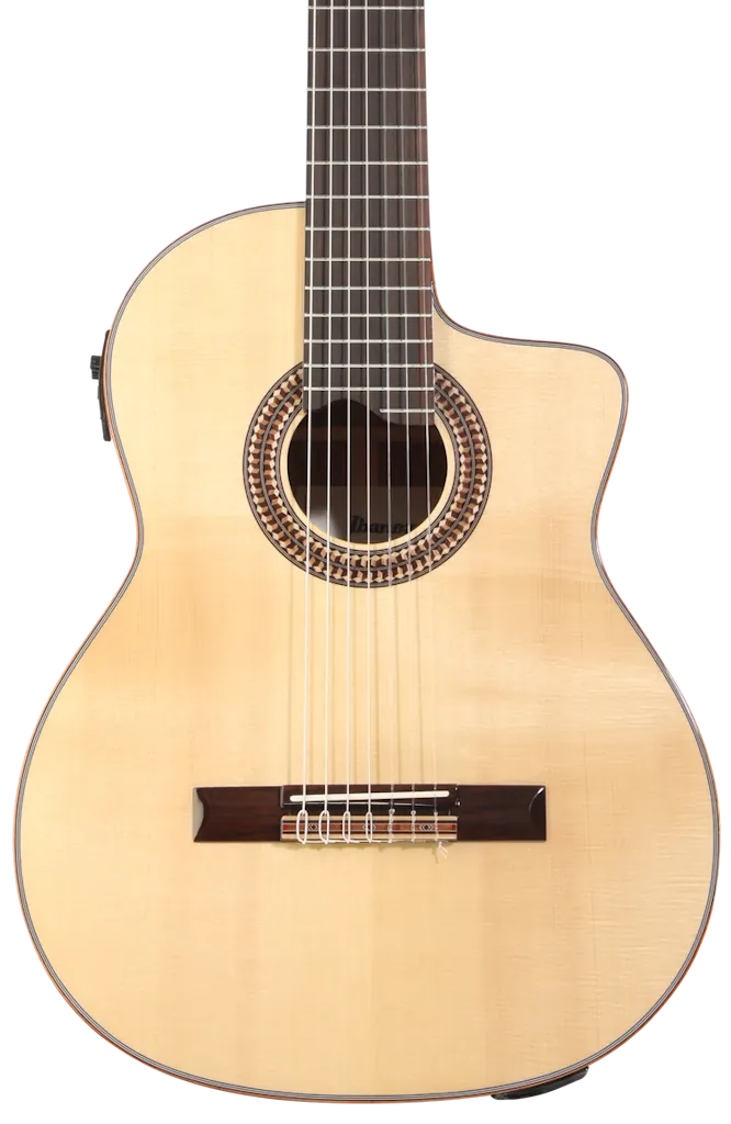 Ibanez Cutaway Classical 7-String Acoustic-Electric Guitar