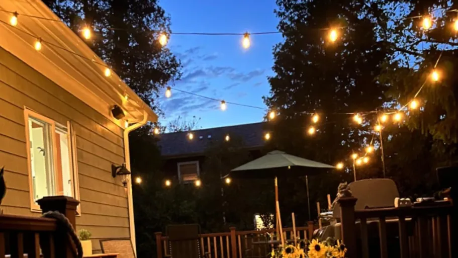 54′ Outdoor Smart String Lights