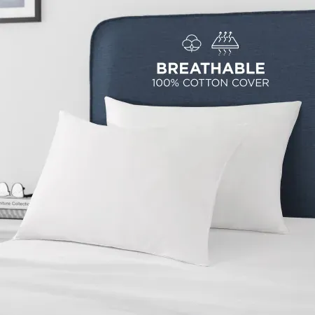 2-Pack Great Sleep Down Alternative Cotton Sateen Covered Pillows